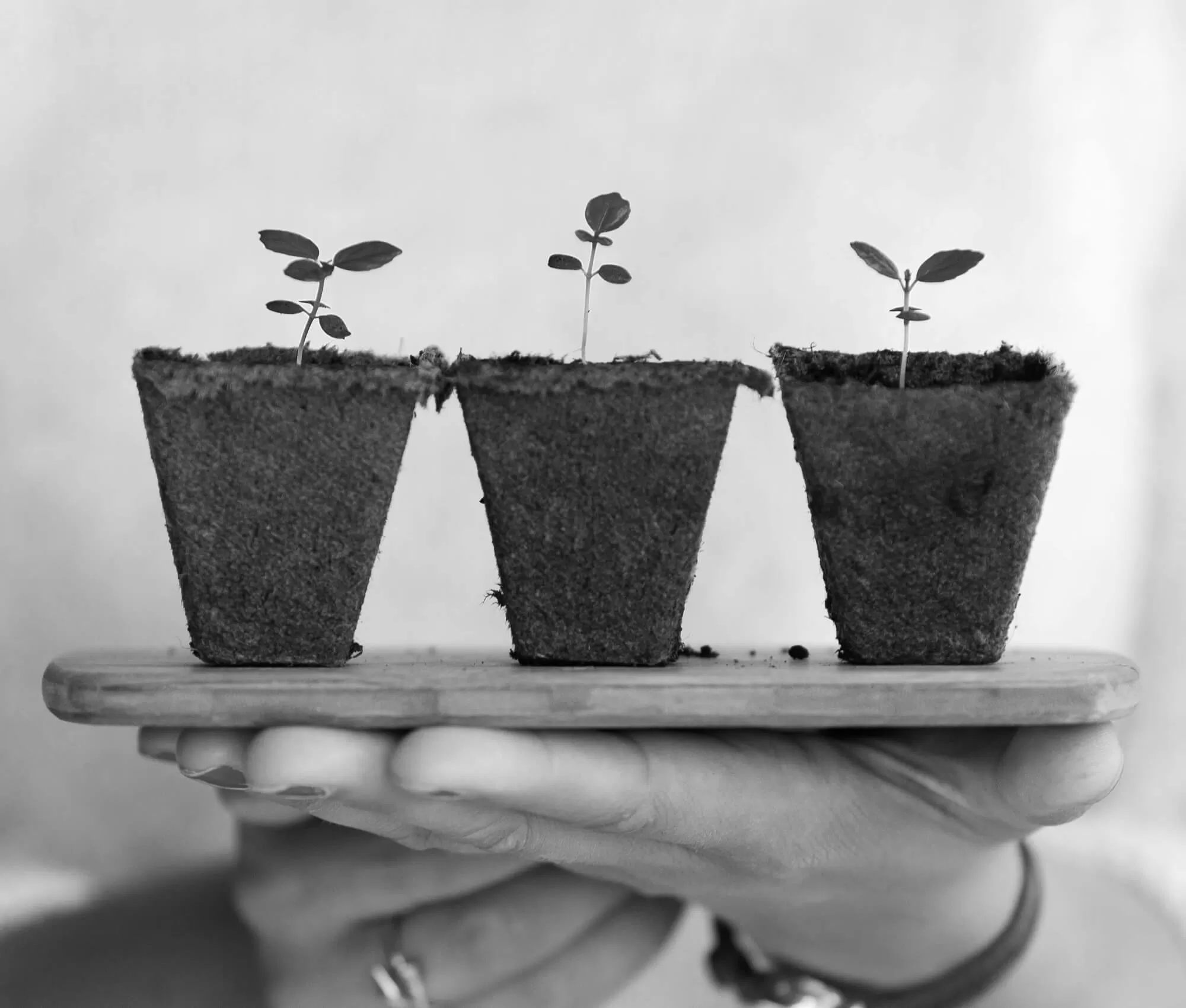 BWRT therapy explained